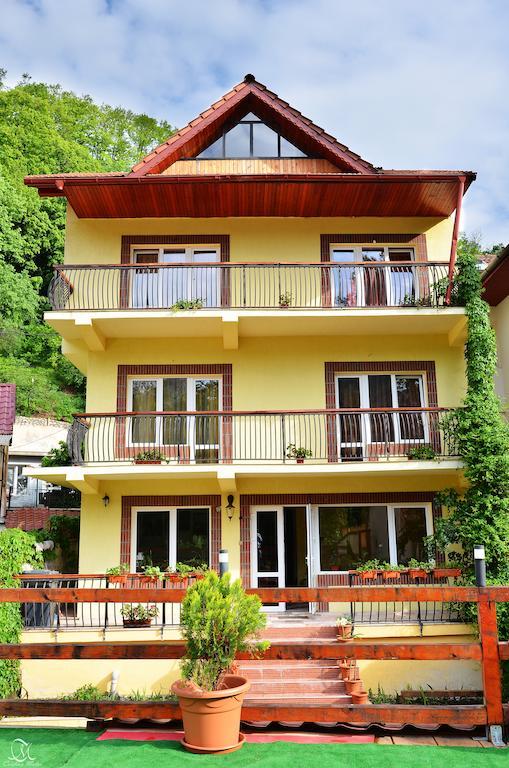 Pensiunea Deea Băile Herculane Exterior foto